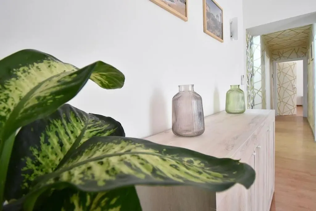 Apartment Due Passi Dal Cupolone - Appartamento Al Centro Rome Italy